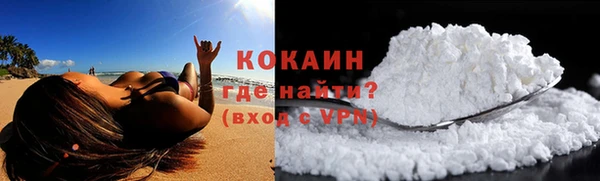 мет Няндома