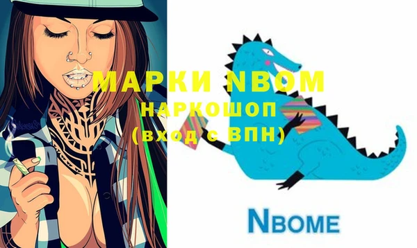 дмт Новодвинск