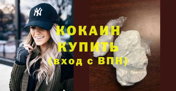 мет Няндома